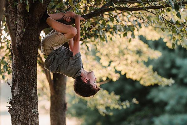 Boy climbing on tree in Canyon Falls park Northlake, Argyle, Flower Mound TX